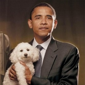 De Hond Van Obama - Een Labradoodle of Portugese Waterhond De Hond Van Obama - Een Labradoodle of Portugese Waterhond